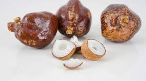 Buah Zuriat Langka Hanya Ada di Timur Tengah